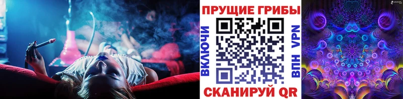 Псилоцибиновые грибы GOLDEN TEACHER  Петушки 